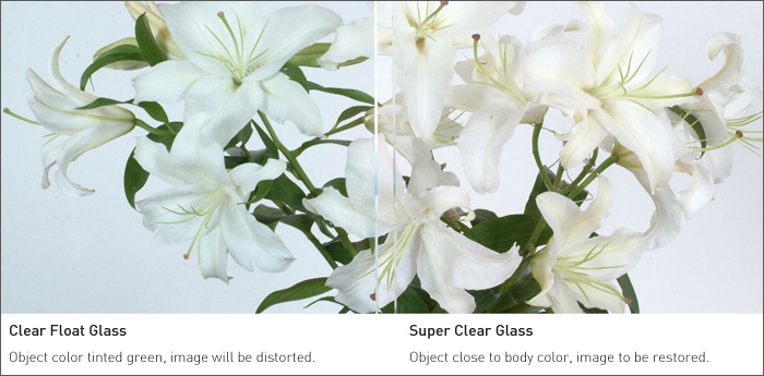 pic00307.jpg pic00307.jpg